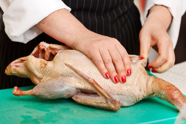 Similar image 2646882