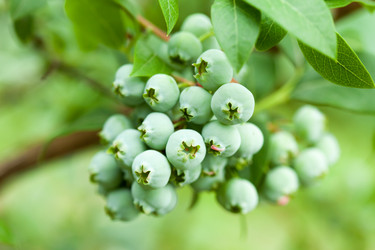 Similar image 2646889