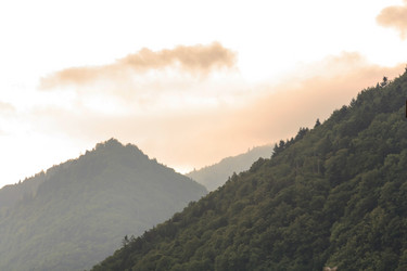 Similar image 2646951