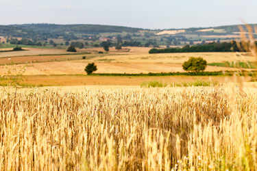 Similar image 2646985