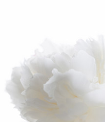 Similar image 2647002