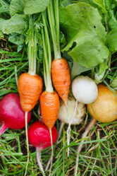 Similar image 2647007