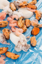 Similar image 2647056