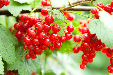 Similar image 2647070