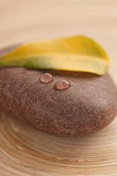 Similar image 2647118