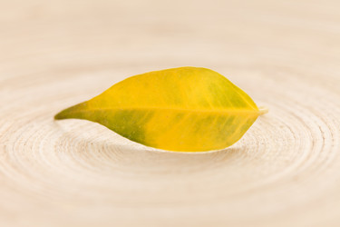 Similar image 2647135