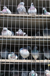 Similar image 2647448