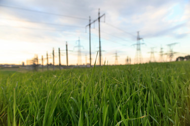 Similar image 2647451