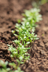 Similar image 2647470