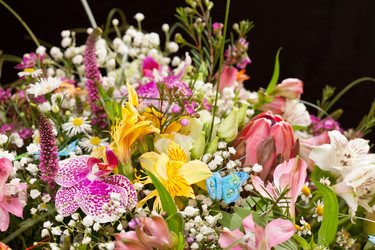 Similar image 2647485