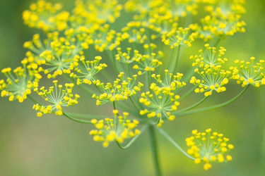 Similar image 2647488