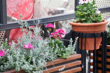 Similar image 2647492