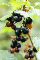 Similar image 2647494