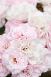 Similar image 2647504