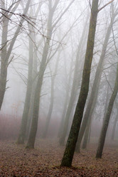 Similar image 2647553