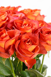 Similar image 2647559