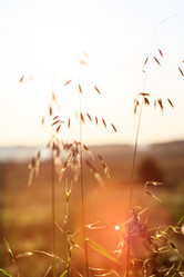 Similar image 2647560