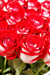 Similar image 2647565