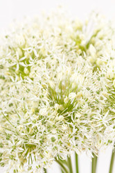 Similar image 2647568