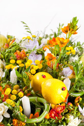 Similar image 2647572