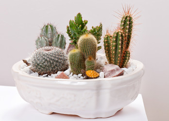 Similar image 2647576