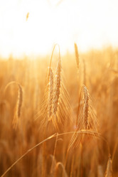 Similar image 2647582