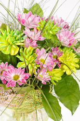 Similar image 2647620