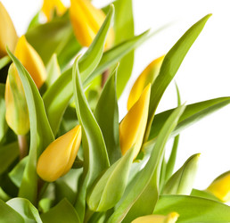 Similar image 2647629