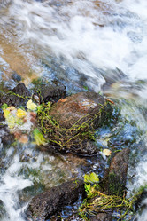 Similar image 2647630