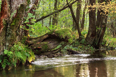 Similar image 2647632