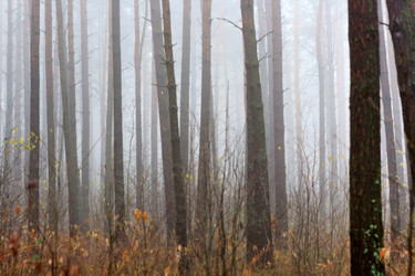 Similar image 2647690