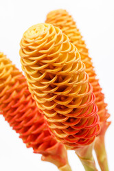 Similar image 2647708