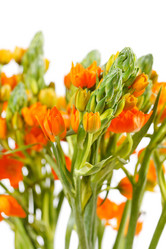 Similar image 2647710