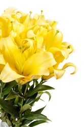 Similar image 2647712