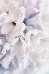 Similar image 2647713