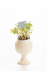 Similar image 2647714