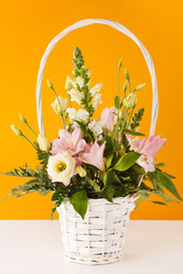 Similar image 2647719