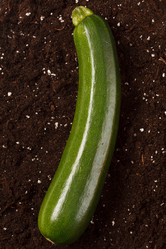 Similar image 2647721