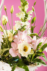 Similar image 2647720