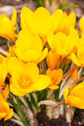 Similar image 2647722