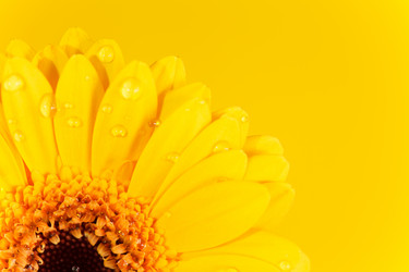 Similar image 2647804