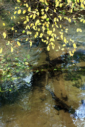 Similar image 2647822