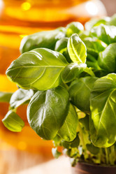 Similar image 2647831