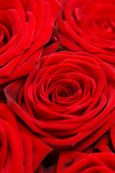 Similar image 2647997