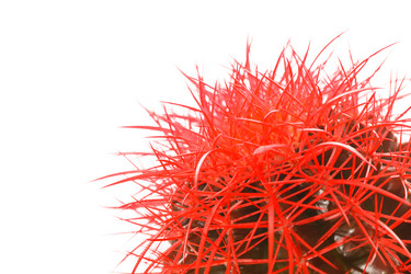 Similar image 2647998