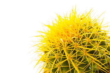 Similar image 2648000