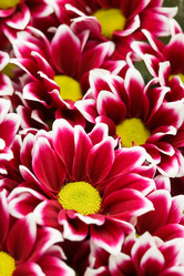 Similar image 2648001