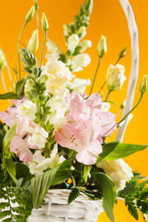 Similar image 2648012