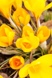 Similar image 2648013