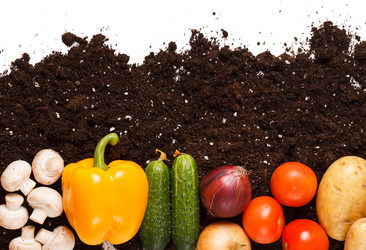 Similar image 2648014